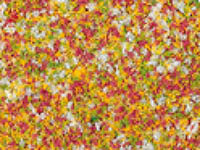 015-76937 - Schaumflocken Frühlingsblumen 150 ml